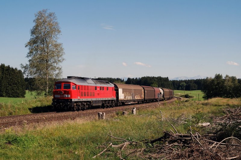 233 206 mit dem Arlbergumleiter CFN 45198 bei G�nzach (15.08.2007)