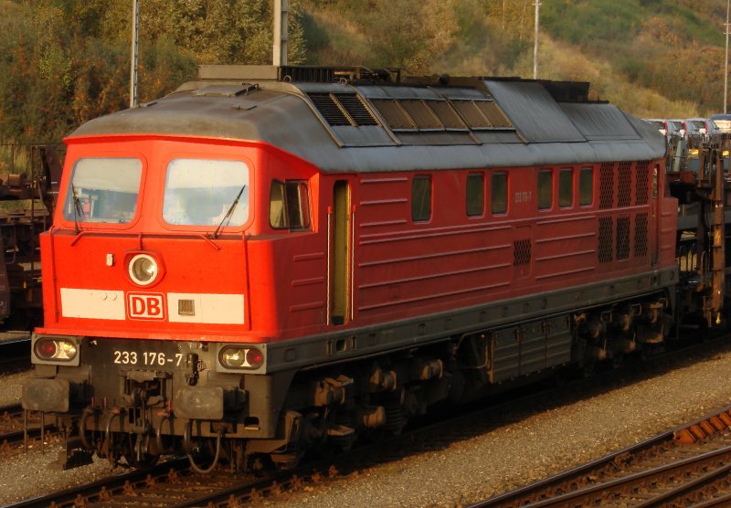 233 176 with a freight train on the evening of