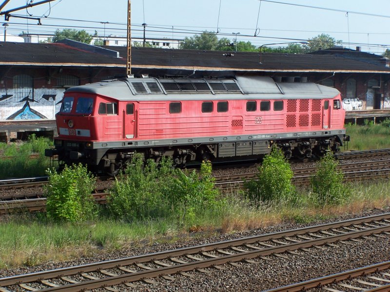 233 696 on 26-05-2009 in Brandenburg Hbf (automatically translated, Powered