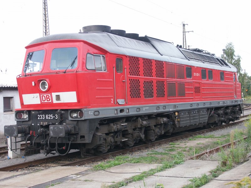 233 625-3 abgestellt im BW Riesa am 28.08.07 