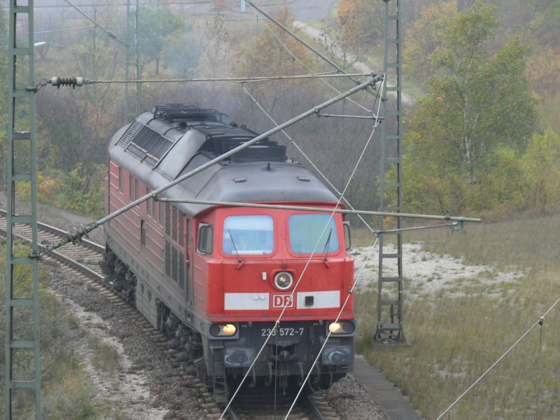 Br 233 572-7 in Hamburg Maschen!