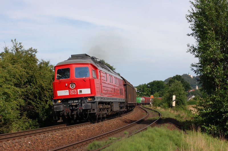 233 510 am 22.07.2009 mit G�terzug bei Sulzbach-Rosenberg 