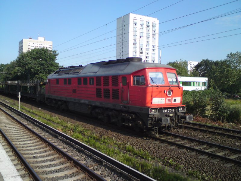 233 217-9 f�hrt am 15.07. 2009 am S-Bahn Haltepunkt Neuwiedenthal