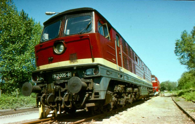 142 005 Bw of Stralsund and real with 4000 hp