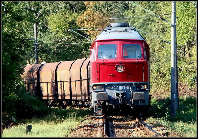 242001-6 before the plaster Express, Peitz East, just before the