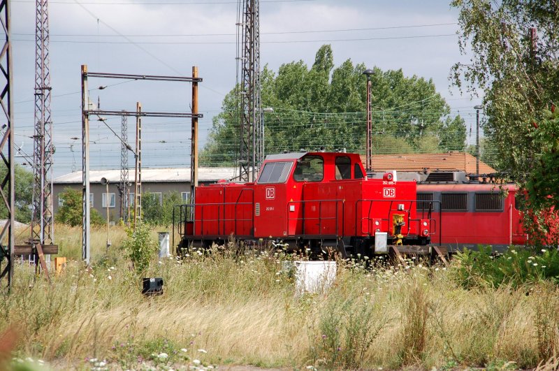 262 005 steht am 03.08.09 im Bw Magdeburg-Rothensee. 