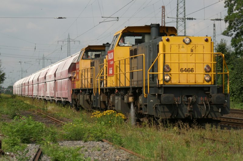 Railion 6466 und 6464 fahren am 14.8.09 durch Ratingen-Lintorf 