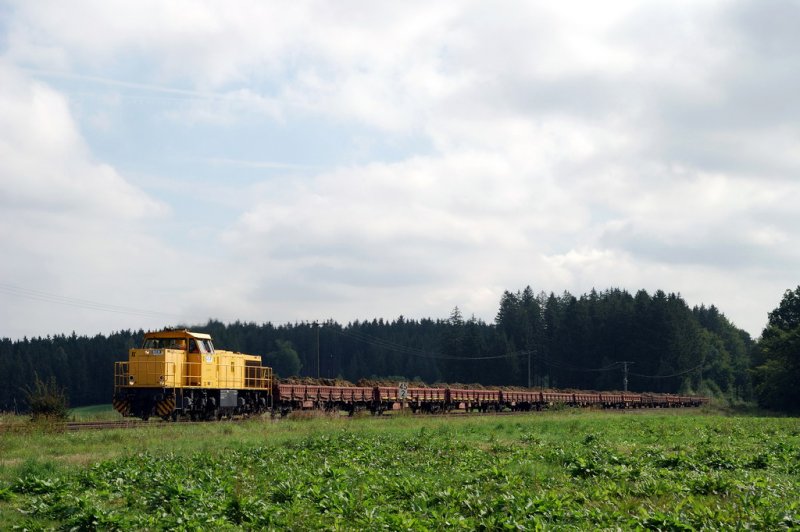 V200 001 der BCB bei Schwabhausen (18.08.2007) 