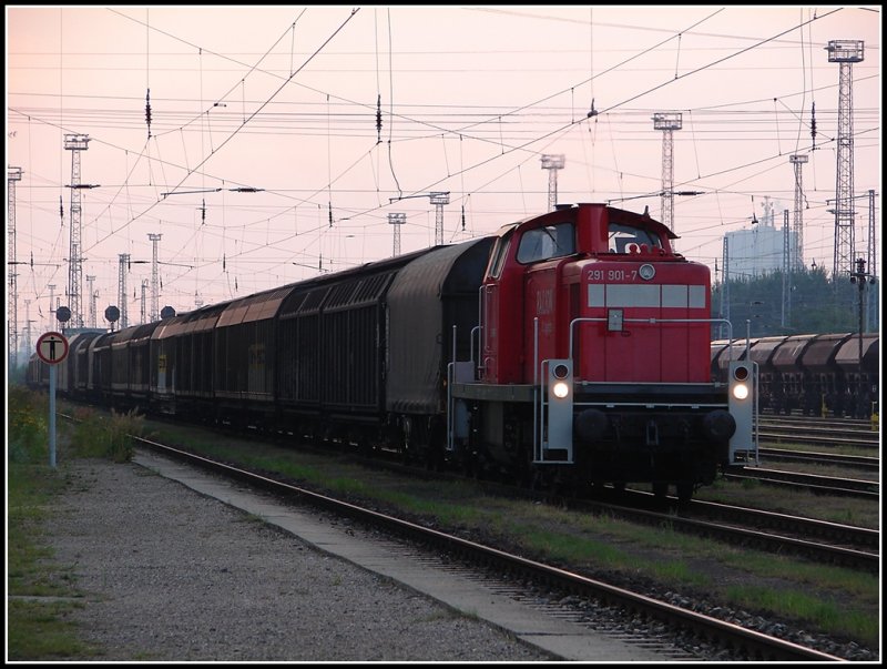 Die 291 901 konnte ich am Abend des 14.06.07 beim