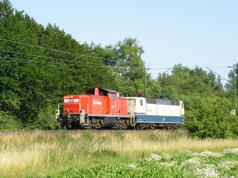 Dies d�rfte ein recht seltener Gast im Norden sein: 294