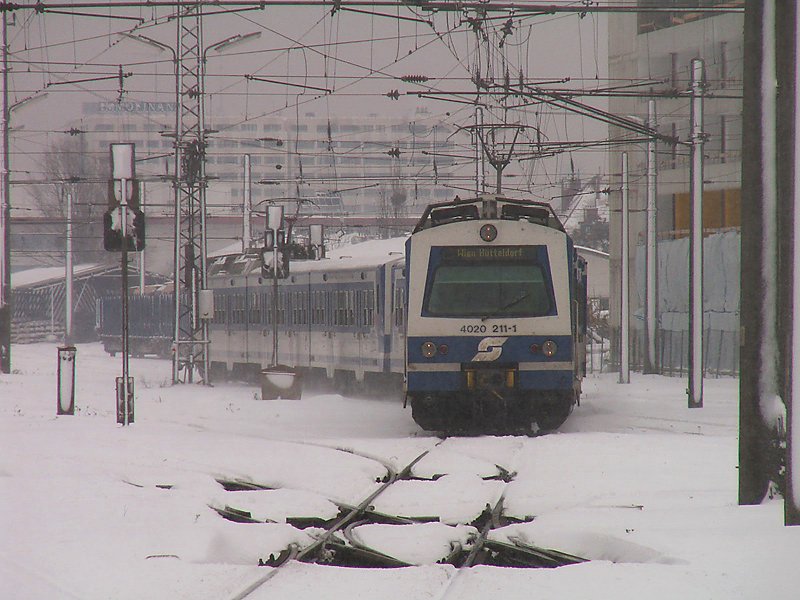 4020 211 leaves surrounded by swirls of snow coming Wolkersdorf