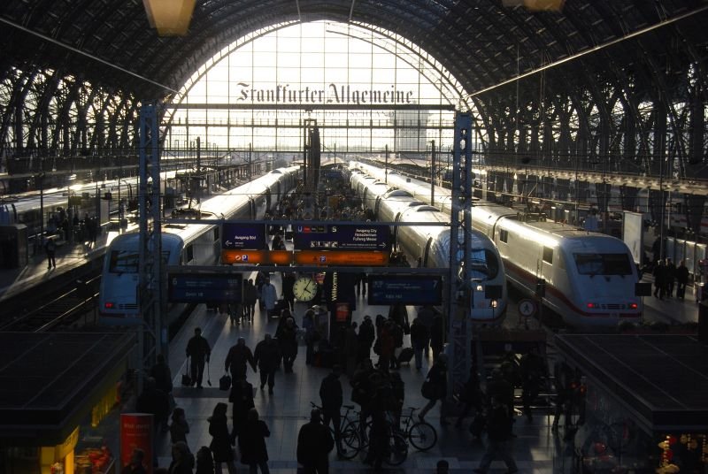 Buzzing with activity against the light at the main station