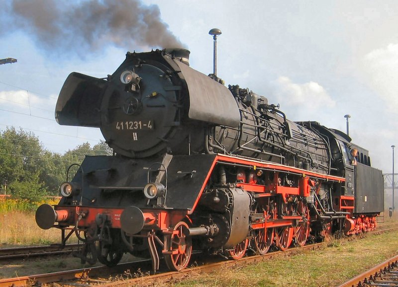 41 1231-4 bei der Lokparade 2006 in Sch�neweide 