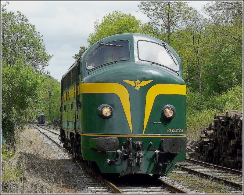 Portrait of NOHAB 202 020 (ex CFL 1602) included in