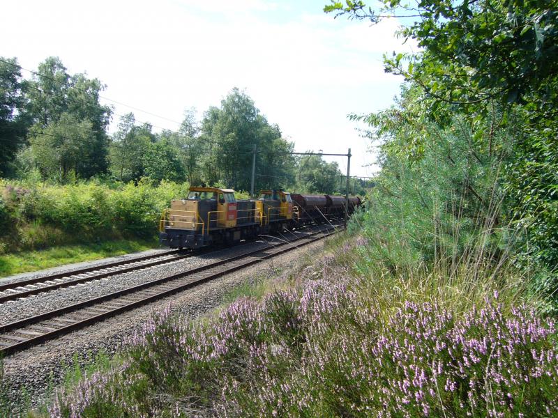 6466 + 6449 der Railion bei Assel (NL) 