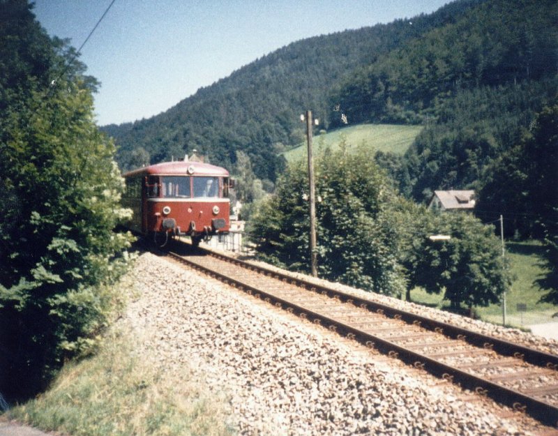 Typisches Erscheinungsbild im n�rdlichen Schwarzwald bei Bad Peterstal war der