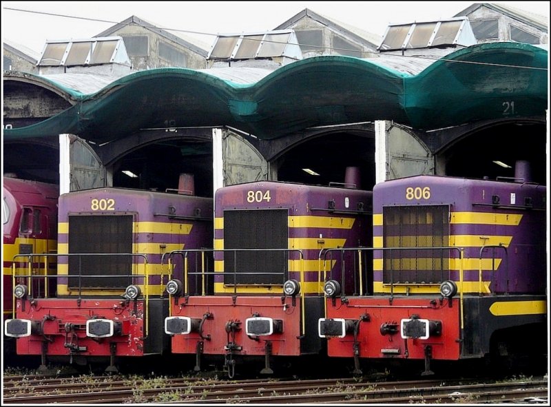 Die Rangierloks der BR 800 sehen auch noch gut aus,