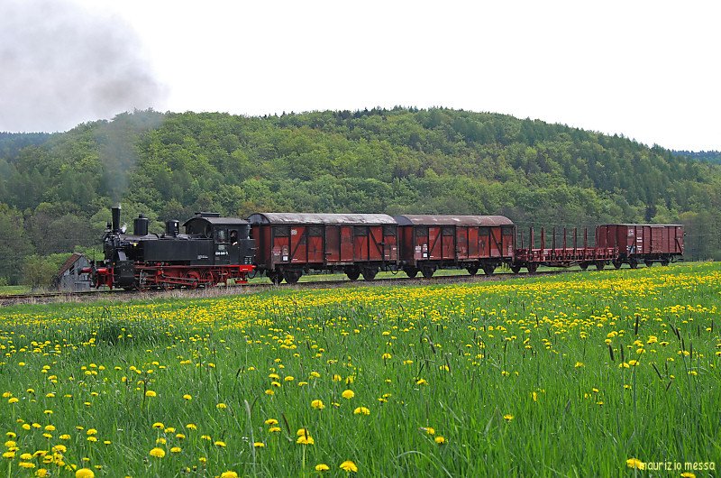 98 886 near Fladungen on the 26th of April in