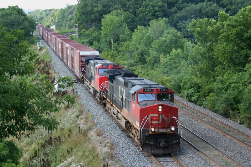 Freight train with 2 C44-9W 2666 and 2536 on 08/01/2008