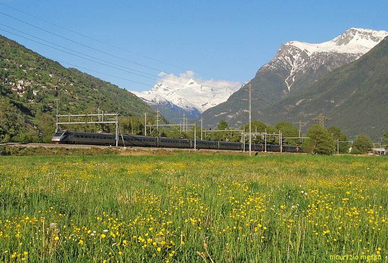 Cisalpino ETR470, here running as CIS59 (Basel - Milano), near Cisalpino ETR470, here running as CIS59 (Basel - Milano), near