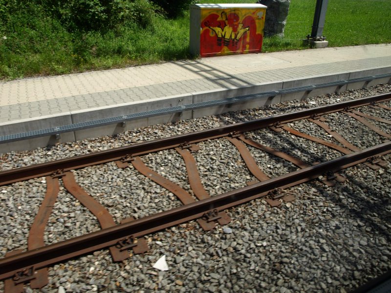 Das Gleis der Uetlibergbahn bei Zrich kurz nach der vorletzten Haltestation am 6. Juli 2008.