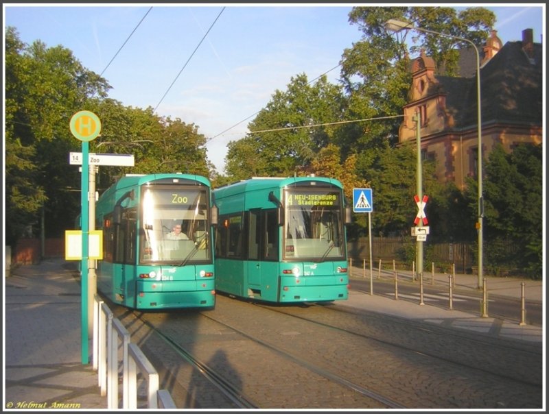 Der 1. Zug der Linie 14 im Bild links mit dem S-Triebwagen 234 und der 9. Zug mit dem S-Triebwagen 247 am 31.07.2007 an der Haltestelle  Zoo, wo die Linie 14 an dem Tag auf Grund von Gleisbauarbeiten wendete. An der Zielanzeige ist erkennbar, da der 1. Zug links gerade angekommen war, whrend der 9. Zug sich auf die Rckfahrt nach Neu-Isenburg begab.