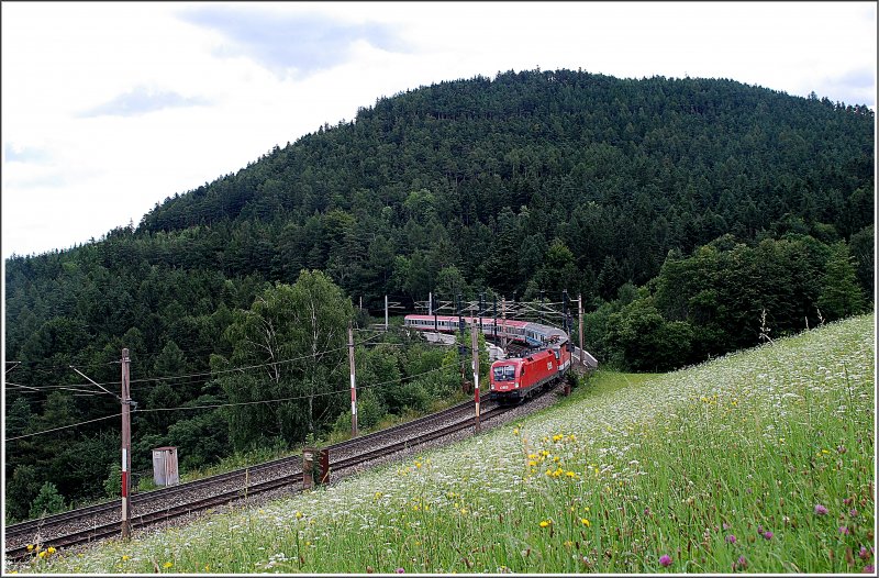 Der EC 158  Croatia  von Zagreb nach Wien Sdbahnhof wurde am 21.7.2009 von einer 1116 bespannt, die eine 1044er kalt mitschleppte. Das Foto enstand auf der Apfelwiese bei Eichberg.