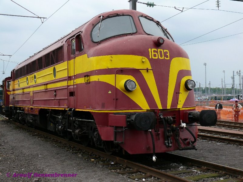 Die Rundnase CFL-1603 bei der Feier 150 Joer Eisebunn zu Ltzebuerg.
Sie wurde 1955 gebaut und an die CFL geliefert. 1958 erlitt sie bei Bascharage(L) einen schweren Unfall. Nach dem sie  eigentlich schrottreif war, sie wurde aber wieder vollstndig hergerichtet. Nach der Instandsetzung war der Lokkasten etwa 30 cm krzer als bei den anderen drei Loks. Um auch nach Trier fahren zu knnen bekam die Lok 1961, wie ihre Schwestern, ein drittes Spitzensignal auf ihre runde Nase gesetzt. Bei der CFL wurde sie Ende 1994 auer Dienst gestellt. Nachdem sie zwischenzeitlich bei der Vennbahn im Einsatz gewesen war, gehrt sie heute dem belgischen Verein TSP/PFT.

10.05.2009
Luxemburg - 150 Joer Eisebunn zu Ltzebuerg
