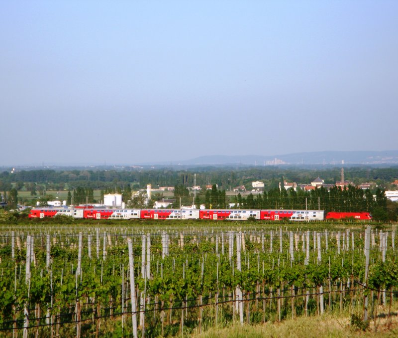 Eine 1116 schiebt am 17.5.09 einen Dosto-Wendezug zwischen Pfaffst�tten und