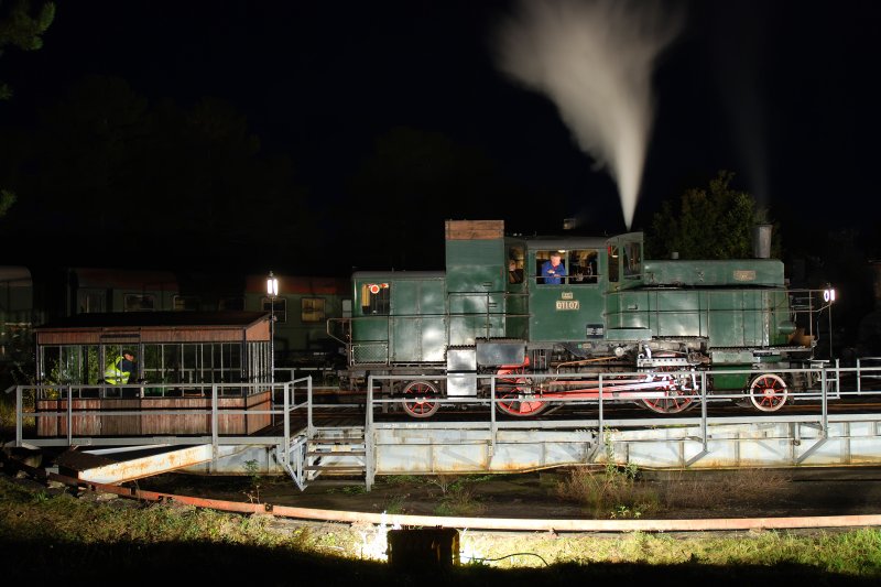 Der 1935 in Floridsdorf unter der Fabriksnummer 3081 gebaute DT