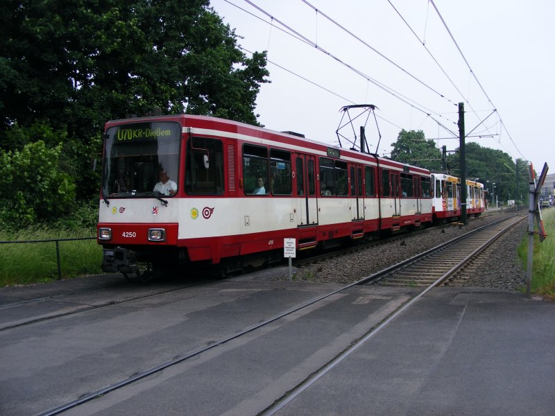Eine Doppeltraktion aus Stadtbahnwagen B der Rheinbahn verlt die Haltestelle Dsseldorf-Lrick als Zug der Schnellinie U70 nach Krefeld-Dieem am 30. Mai 2008.