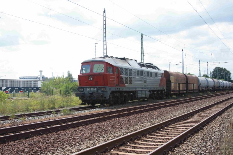 242 001-6 am 14.07.2008 im Bahnhof Guben S�d 
