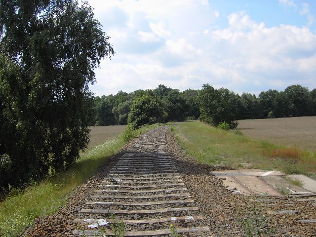  stillgelegte Verbindungskurve Abg - Abc. im Stadtgebiet Forst/Lausitz, 