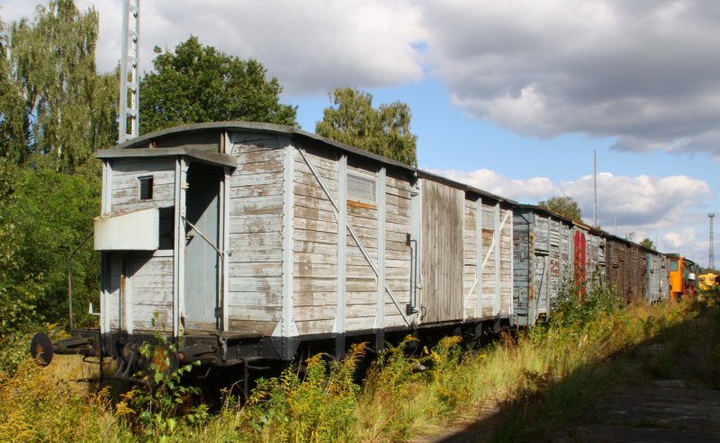 A variety of freight cars on 12.09.09 in the former