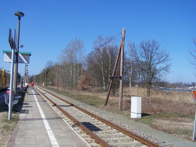 Neue Gleisanlage in Wendisch-Rietz Aufgenommen am 2.April 2009
 