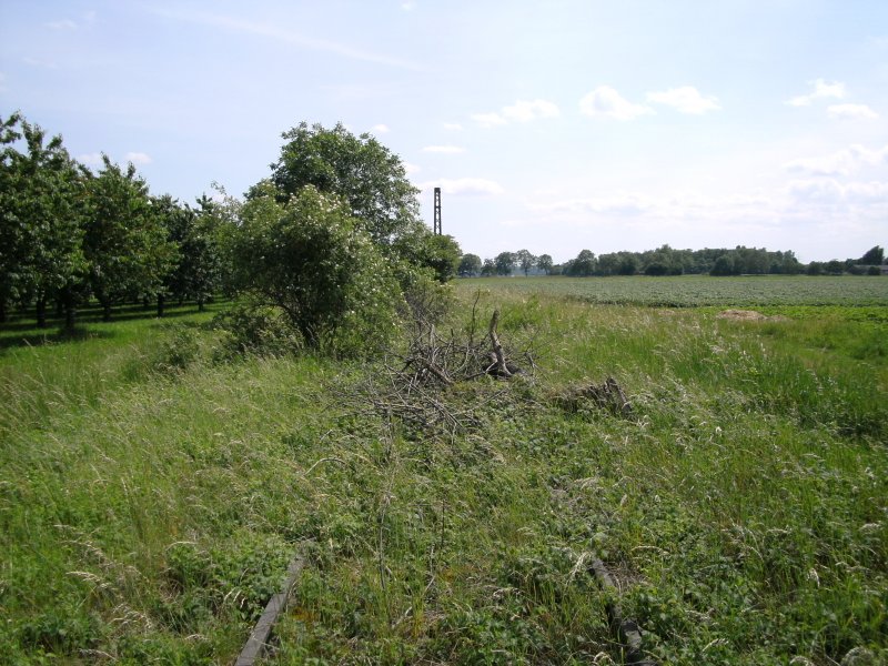 Im Stillgelegten Rangierbahnhofsbereich Buggingen. �berreste des Rangierbahnhofes am 27.05.2009. Diese