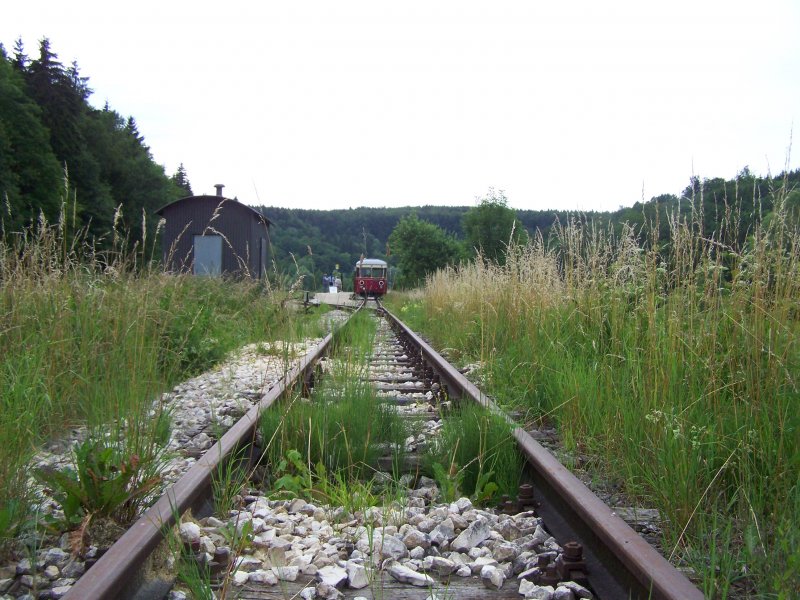 Auch hier �bergreift die Natur alles. Diese Aufnahme entstand im