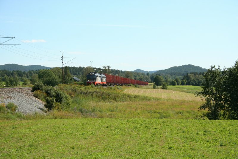 2 Hectorails (142 106-4 + 142 001-7) mit Holzleerzug in