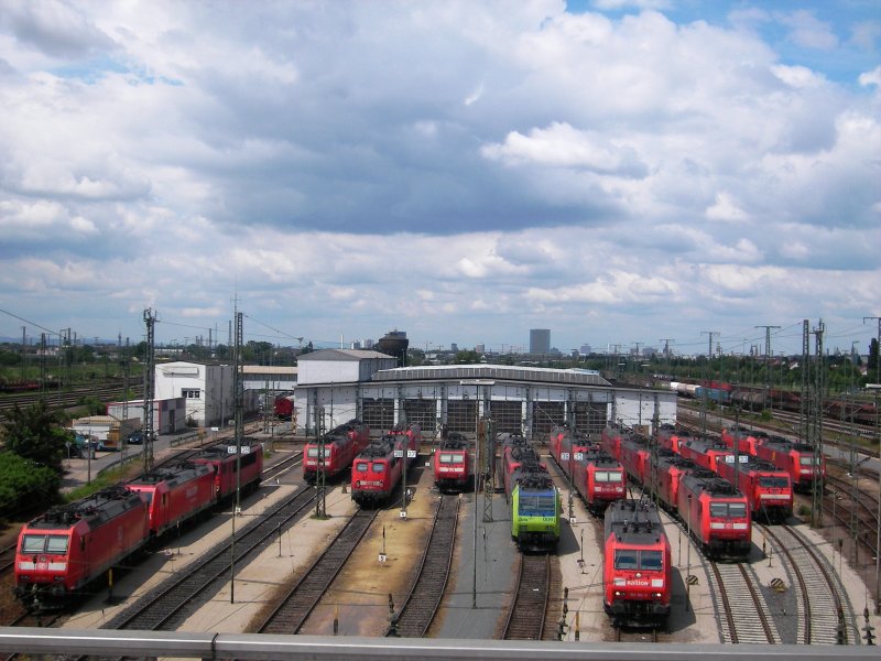 Diverse Lokomotiven am Mannheimer Rbf (Rangierbahnhof),
01.06.2009 