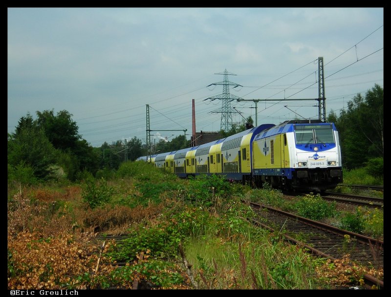 246 005 mit einem Metronom in Hamburg Unterelbe 
