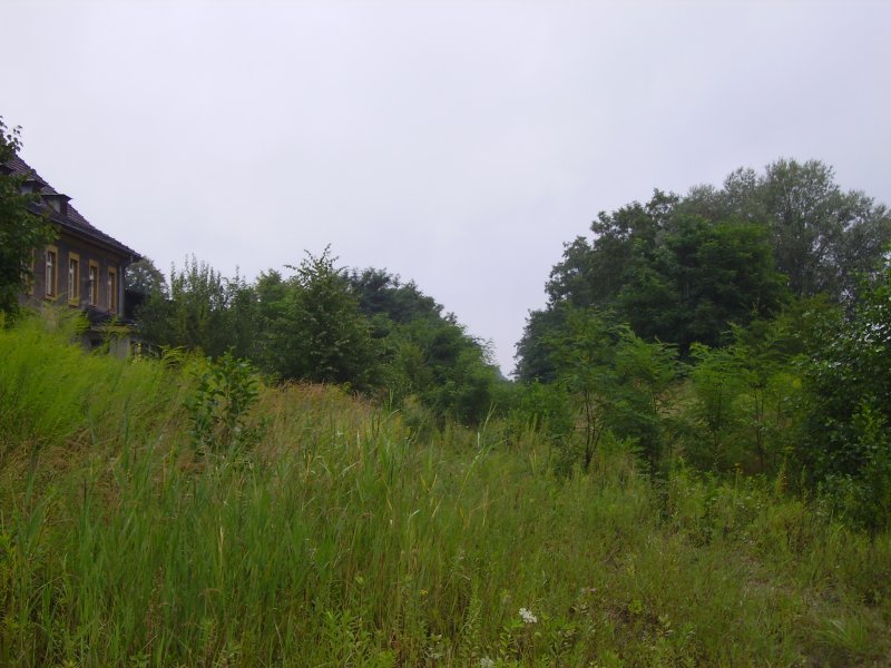 Spuren der Stillgelegten Strecke Brynek - Grzybowice. (Sommer 2008)
 