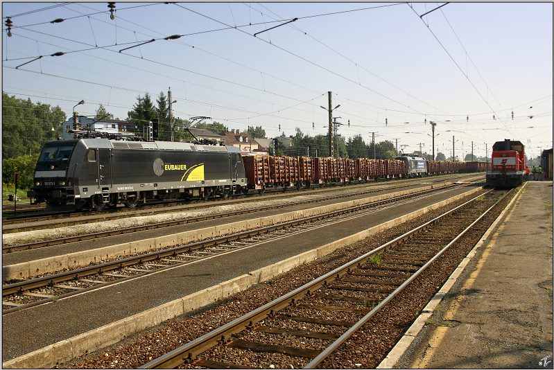 Sehr seltene G�ste im Aichfeld waren am 21.08.2009 die beiden