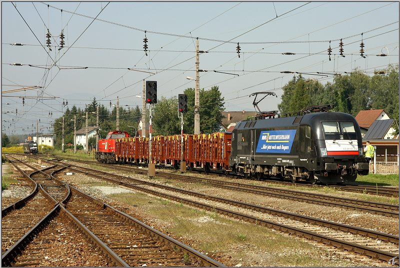 Sehr seltene G�ste im Aichfeld waren am 21.08.2009 die beiden