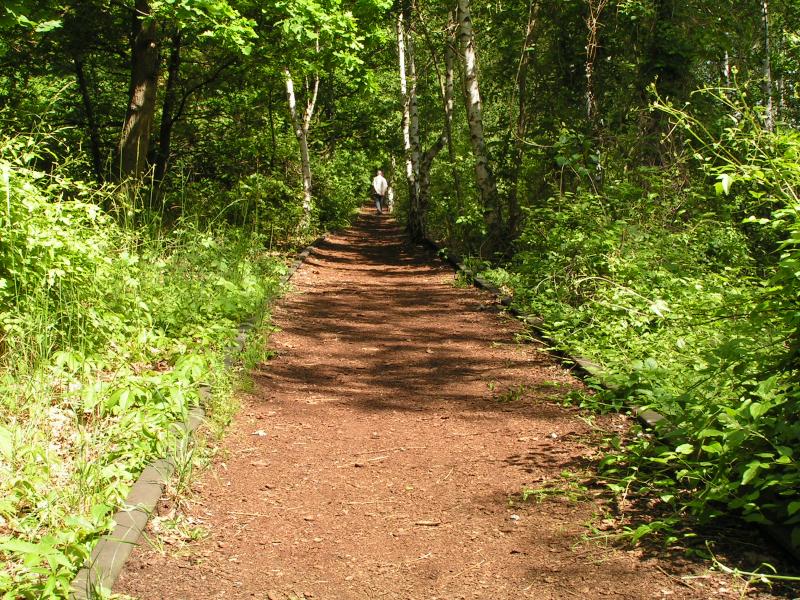 Berlin,Naturpark Sch�neberger S�dgel�nde.Der Rundgangweg zwischen den Gleisen.genau hier befindet man