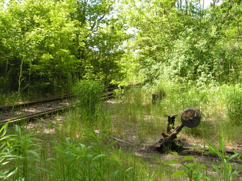 Berlin,Naturpark Sch�neberger S�dgel�nde.Hier ein Weichenhebel,allerdings fehlt die Weichenlaterne.
Bln.26.05.05 