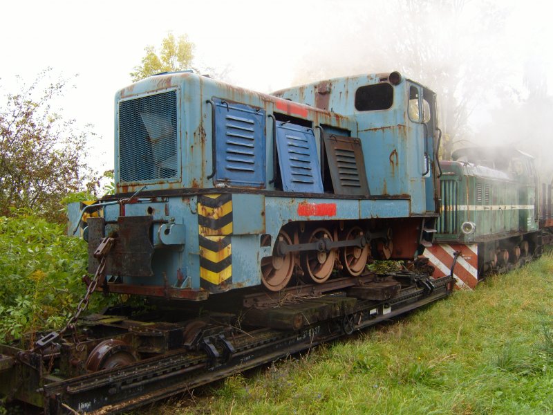 Neben dem Mgelner Heizhaus konnte ich am 16.10.2008 diese Aufnahme machen. Vielleicht kann man die beiden Diesellokomotiven wieder einmal fahren sehen?