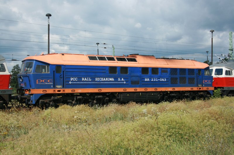 BR 231 063 DB Station on 05/08/2008 in Guben (automatically