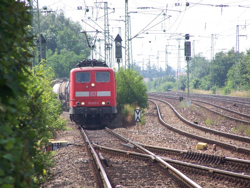 151 037-9 aus Richtung M�nchen kommend.(16.07.2005) 