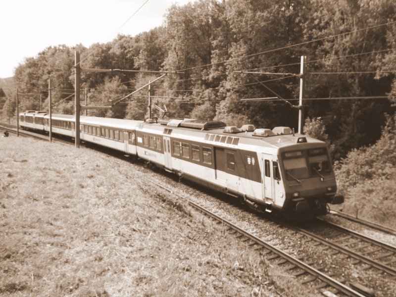 NPZ bei Wangen a.A. am 25.08.2008. 