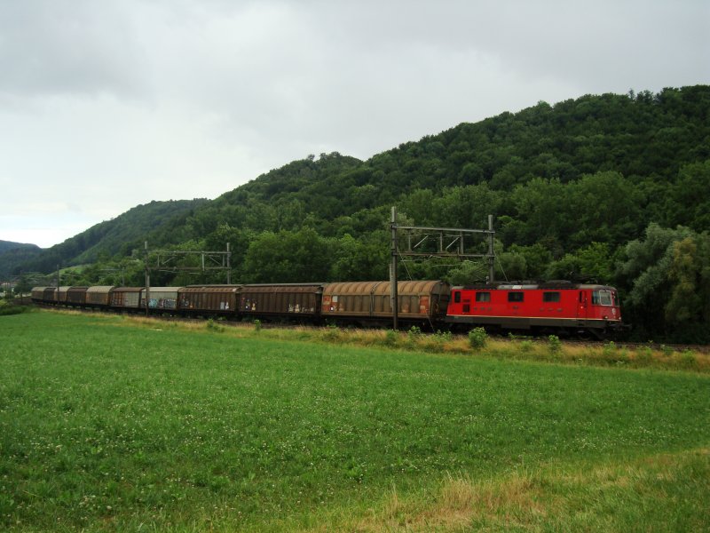 Re 4/4 11205 mit GZ zwischen Tecknau und Gelterkinden am 08.07.2008